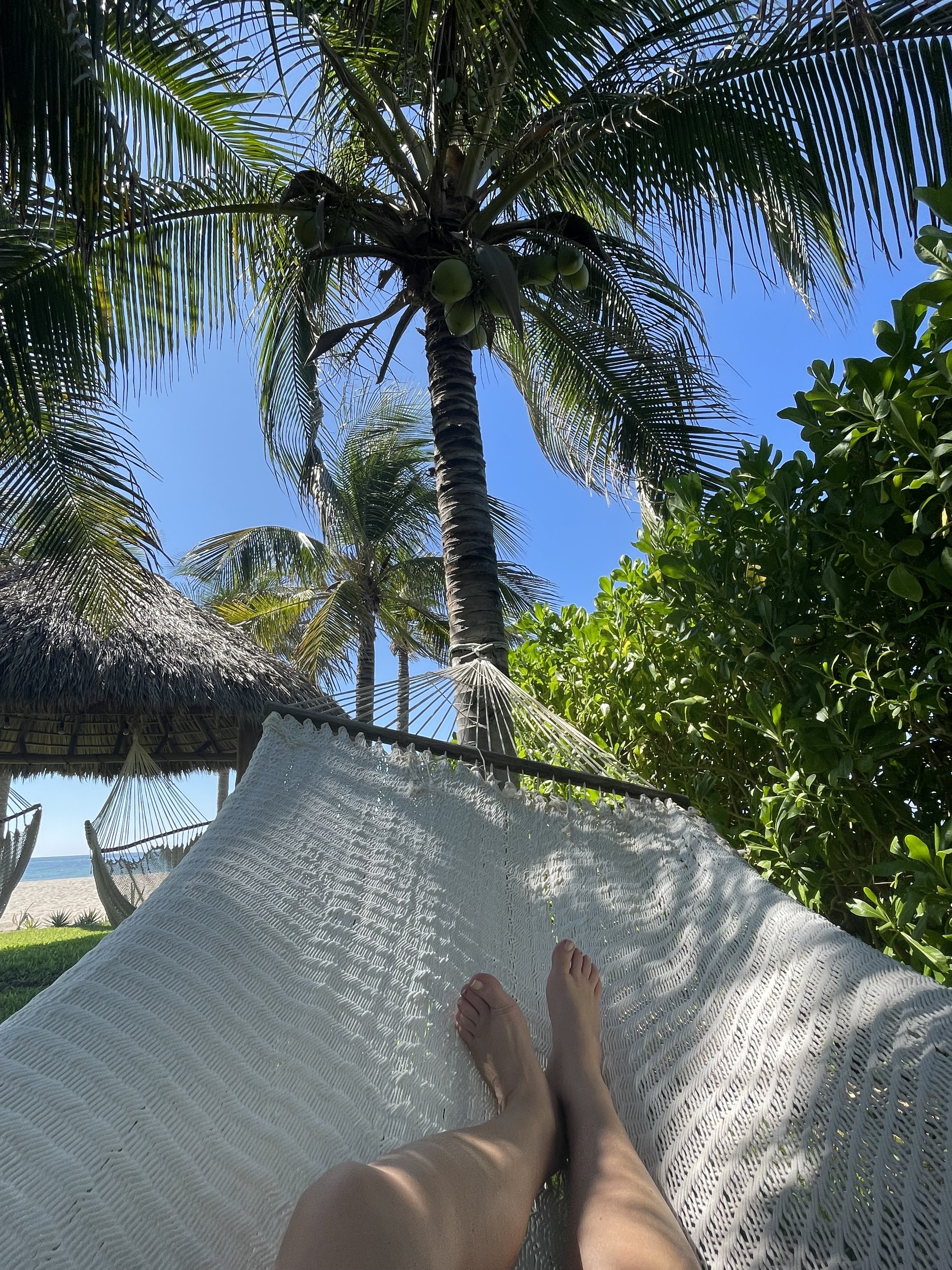 IMG_3058.jpeg