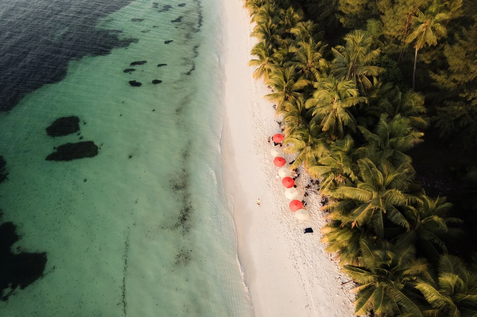 travel the world:  Seychelles