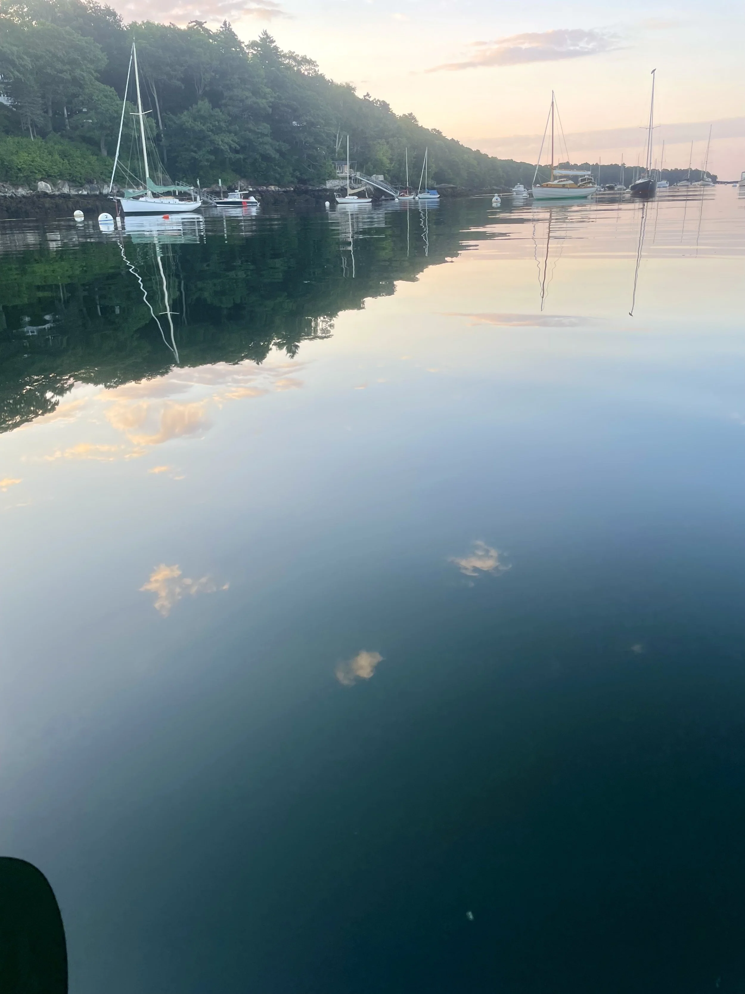 IMG_7625.jpeg