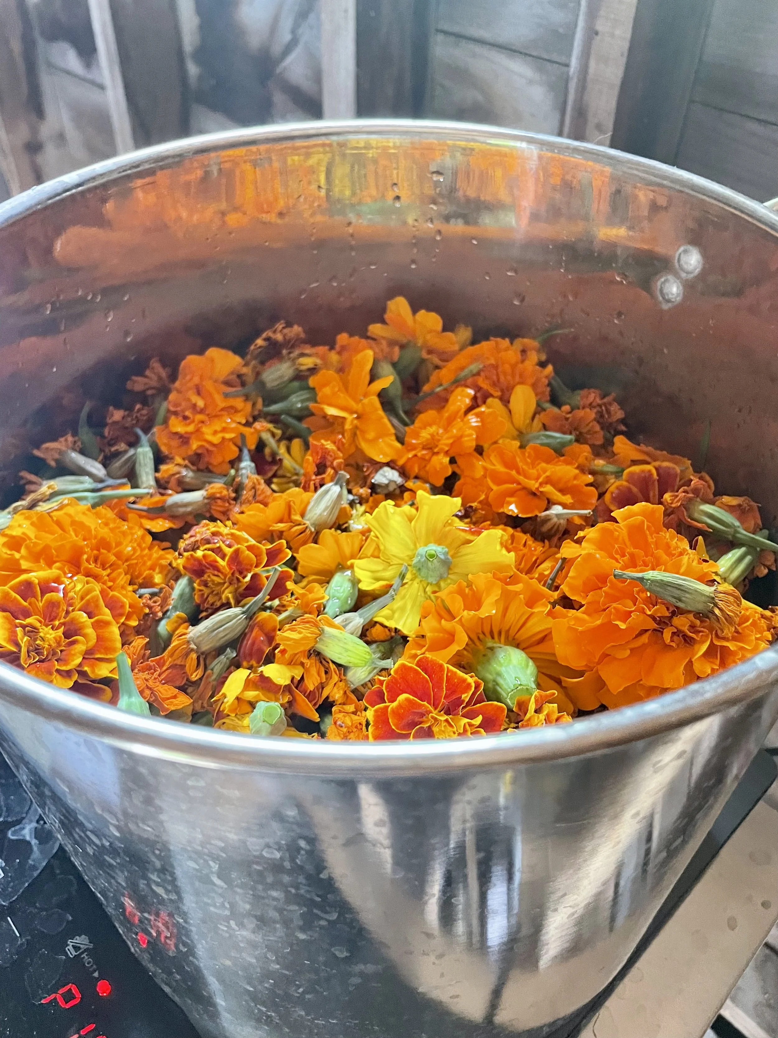IMG_7609.jpeg