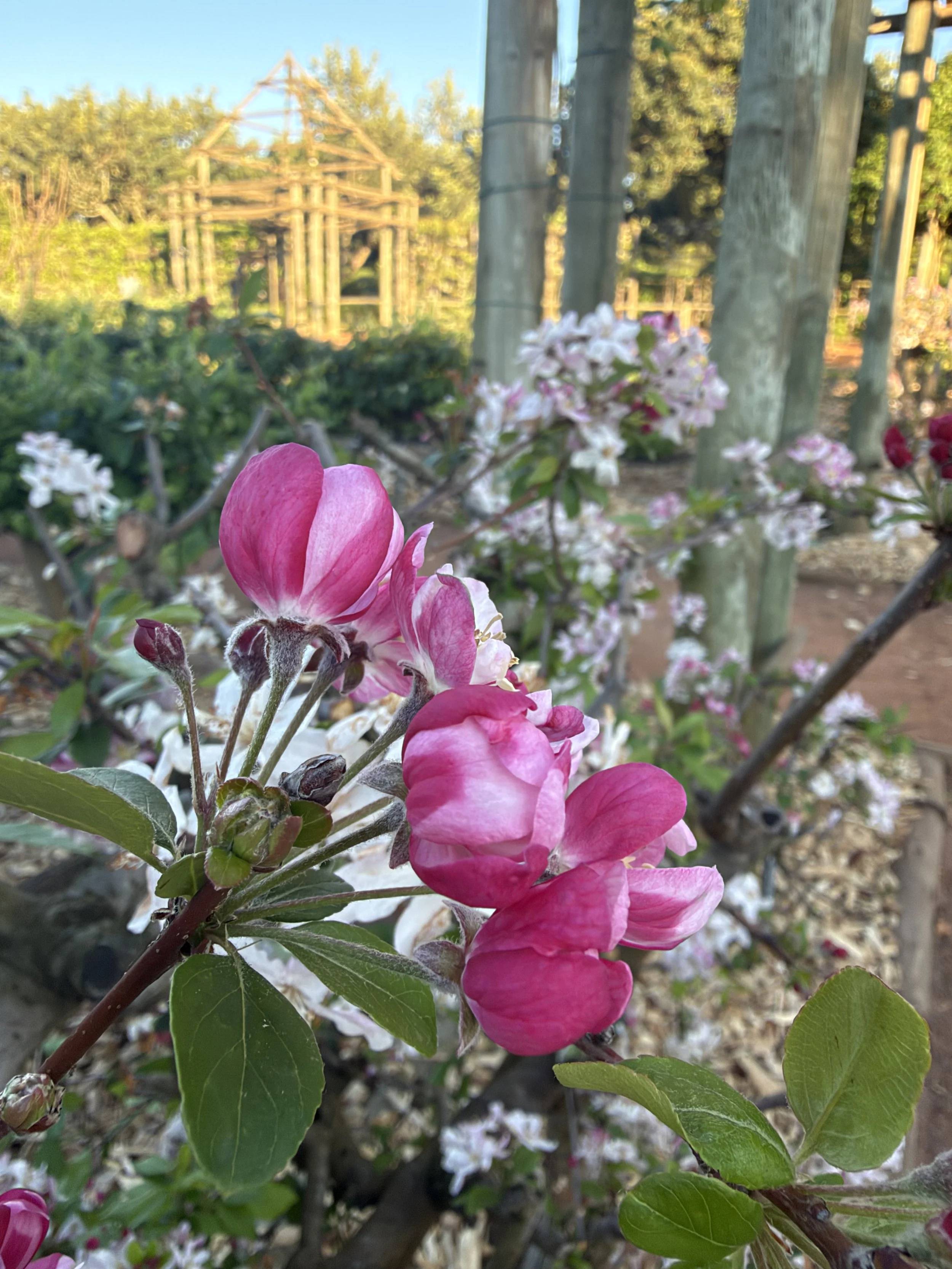 IMG_0878.jpeg