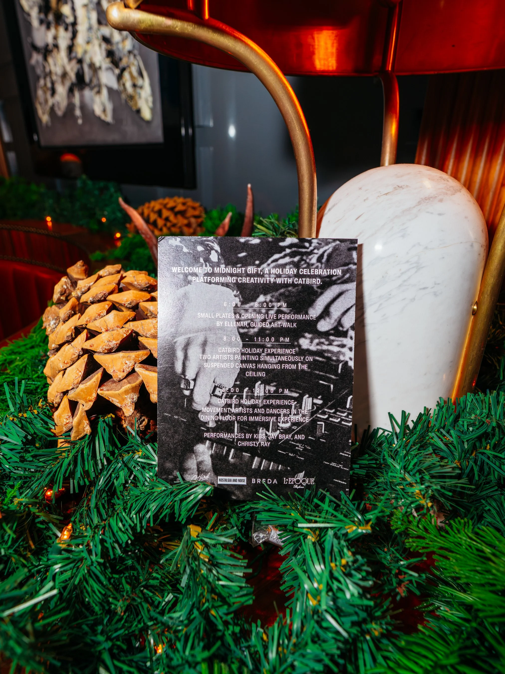 NostalgiaandNoise_Catbird_12-18-25-01488.jpeg