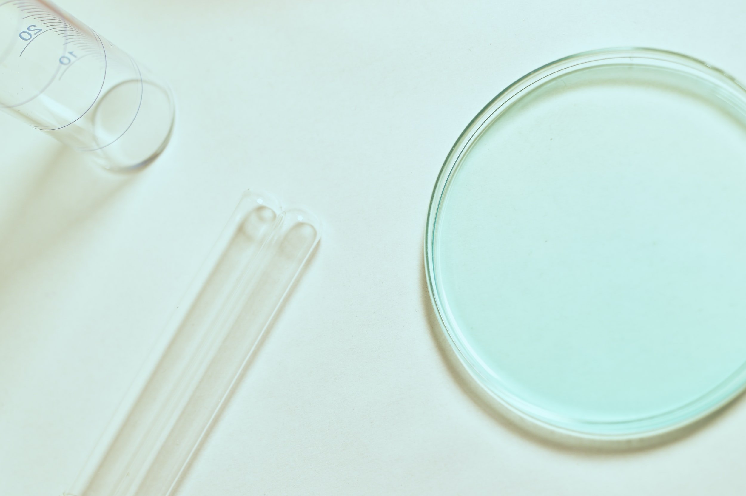 Why the best place to detox is in your liver
