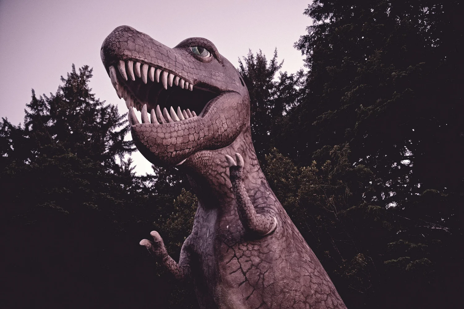 Debunking the myths Are oats bad for you? — the nourished willow