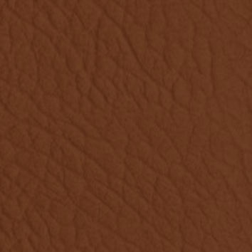 Blonde Colored Leather