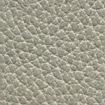 Champagne Colored Leather