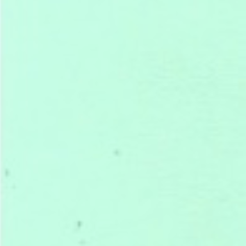 Pistachio Colored Leather