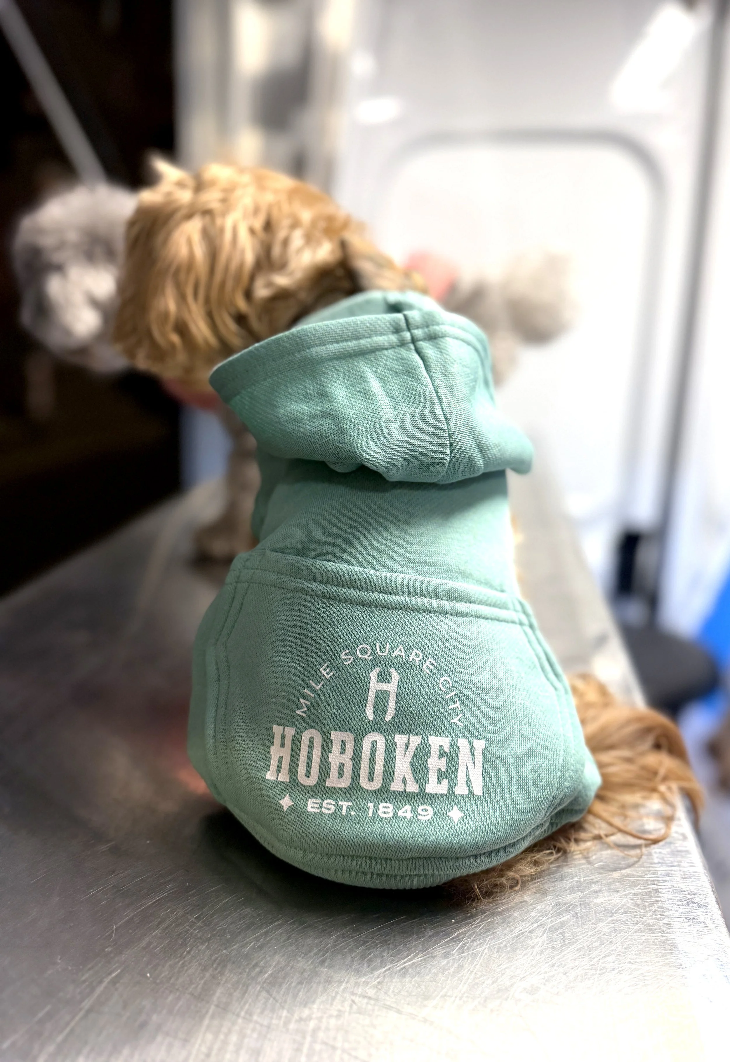 IMG_7034.jpeg (Copy)