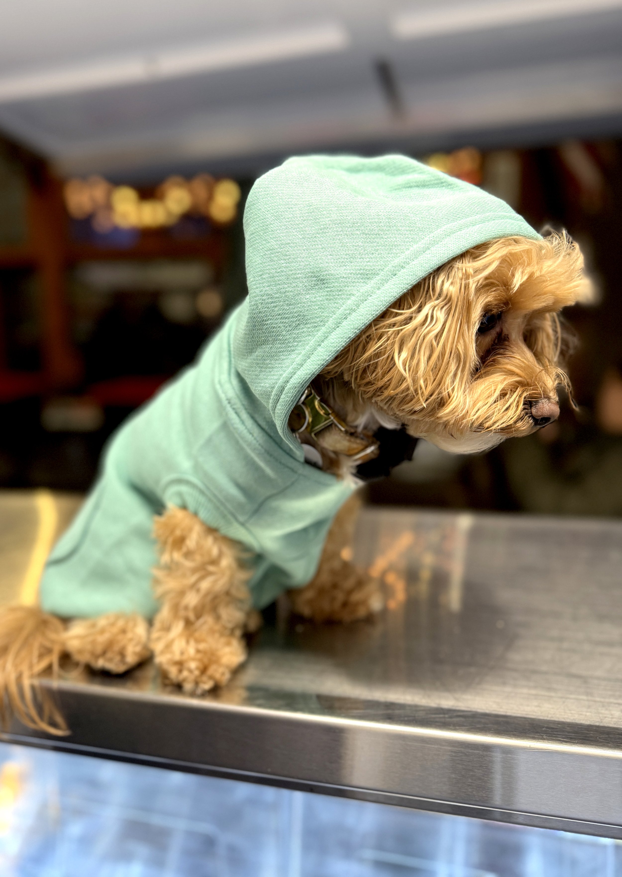 IMG_7039.jpeg (Copy)