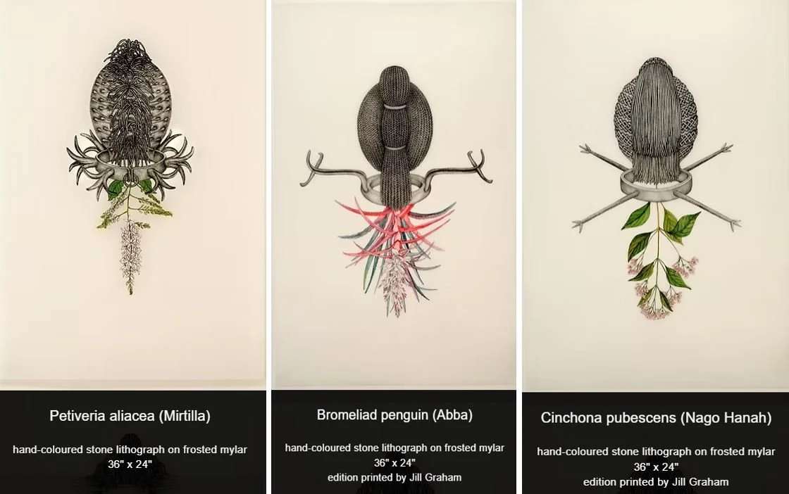 Retratos criollos. Por Joscelyn Gardner