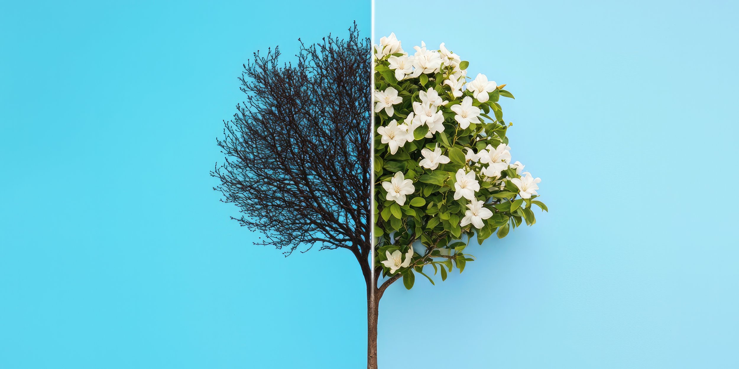 Thriving Through Uncertainty: Strategic Marketing That Drives Growth