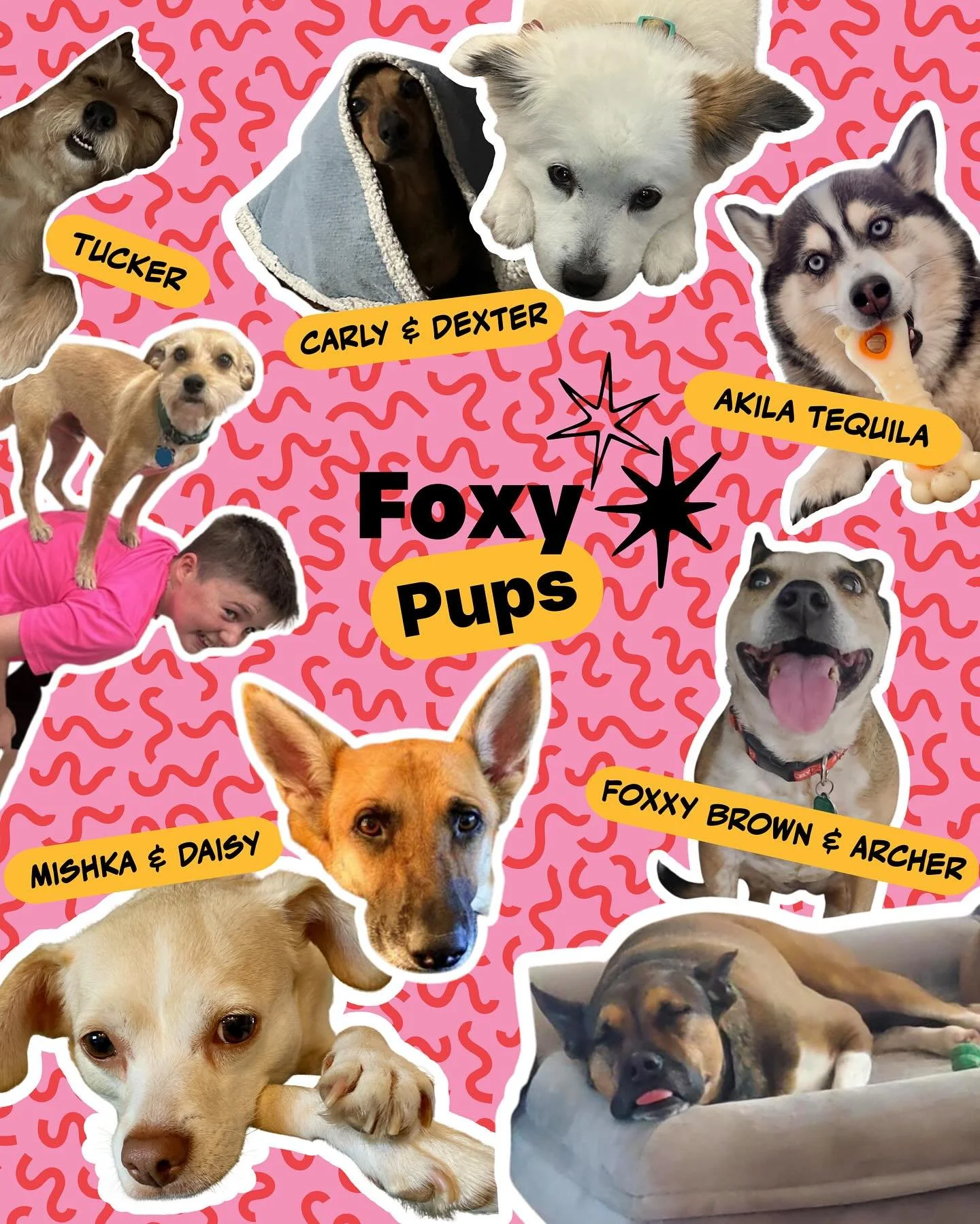 It might be National Make a Dog&rsquo;s Day, but let&rsquo;s be honest&hellip; our pups make our days every day. 🐾 

From our namesake, Foxxy Brown, to the rest of the four-legged Fox crew, these cuties are the real stars of Emerald Fox. Because rea