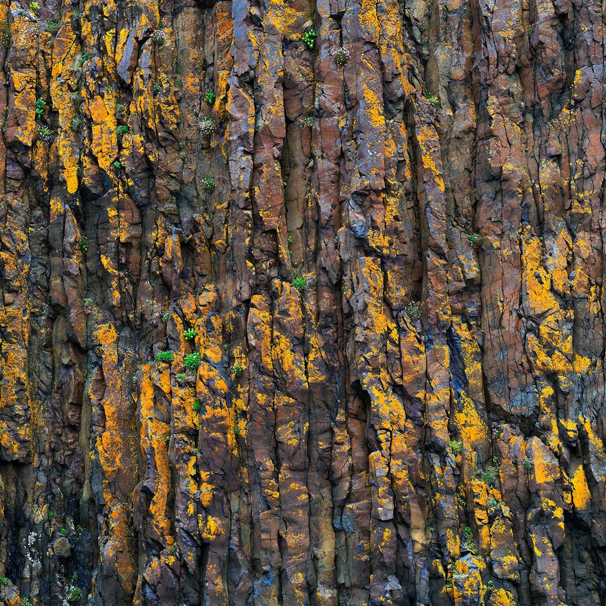 Basalt columns of Súgandisey - Study 2