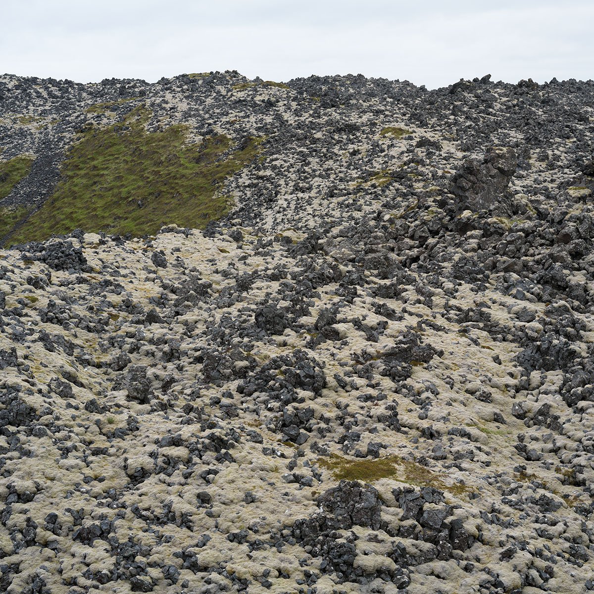 Lava Field Wall - Study 2