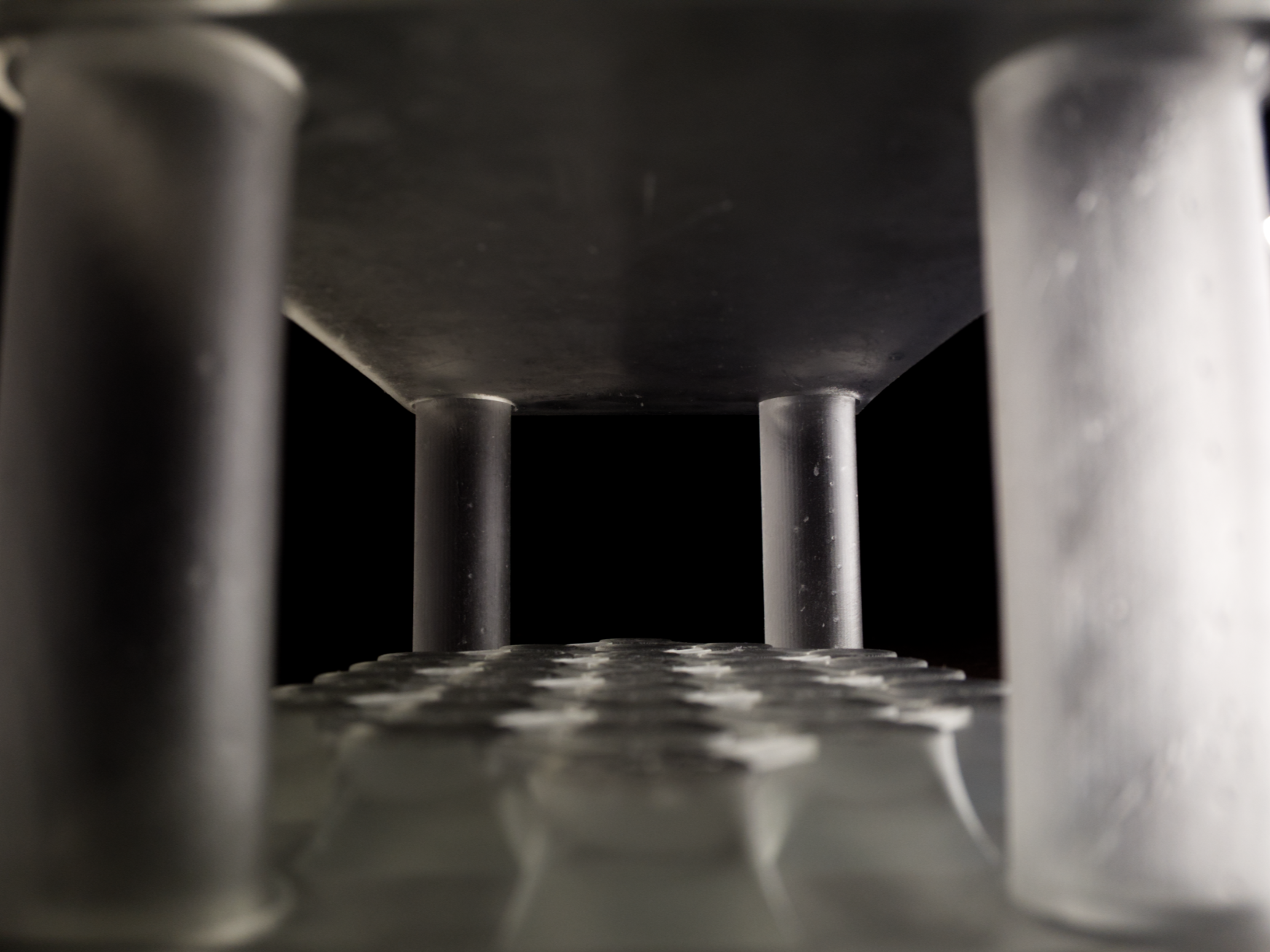 Temple+Web.png
