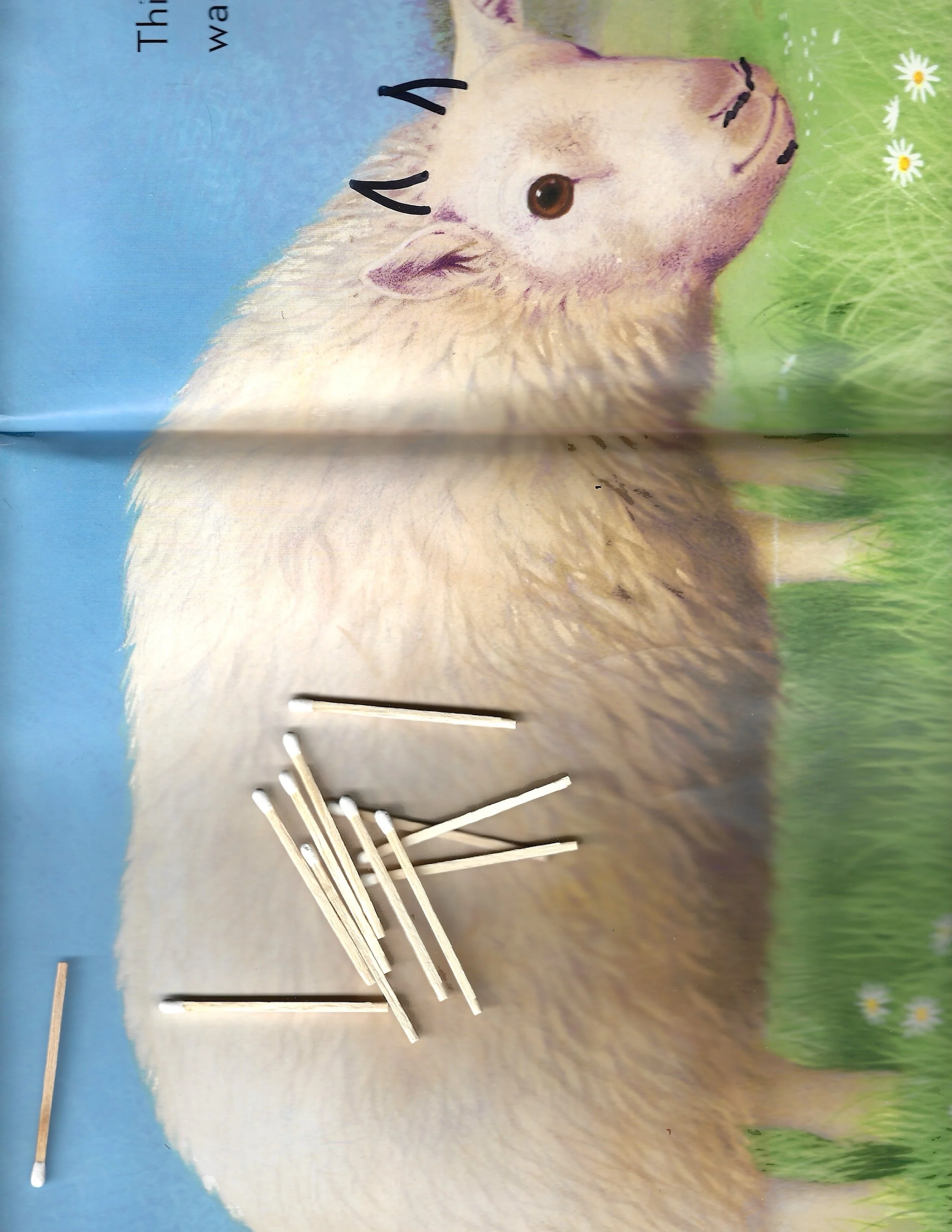 Belly of the Lamb_9.jpg