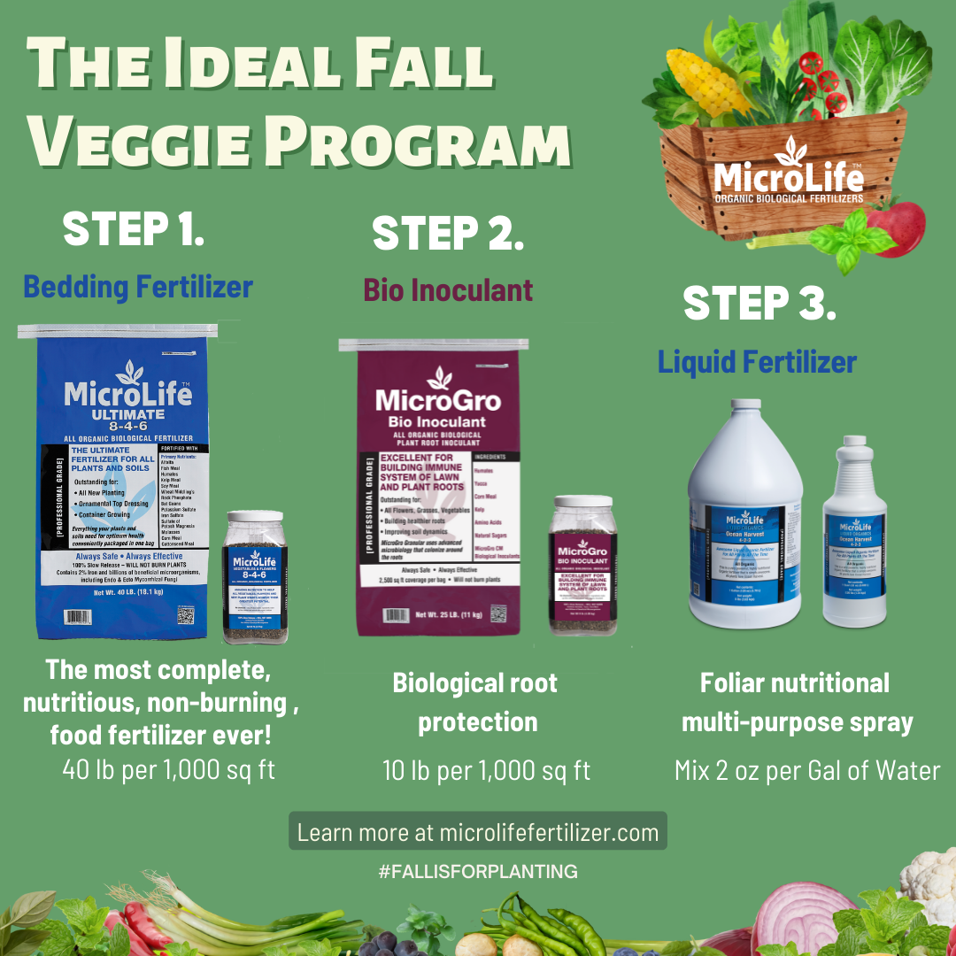 veggie program fall.png