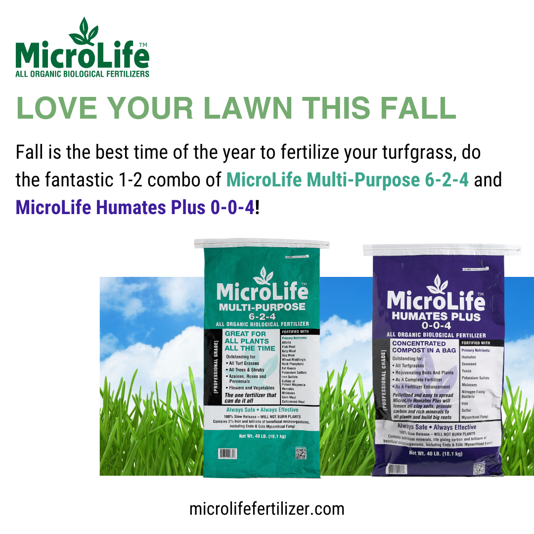 fall grass (1) (1).png