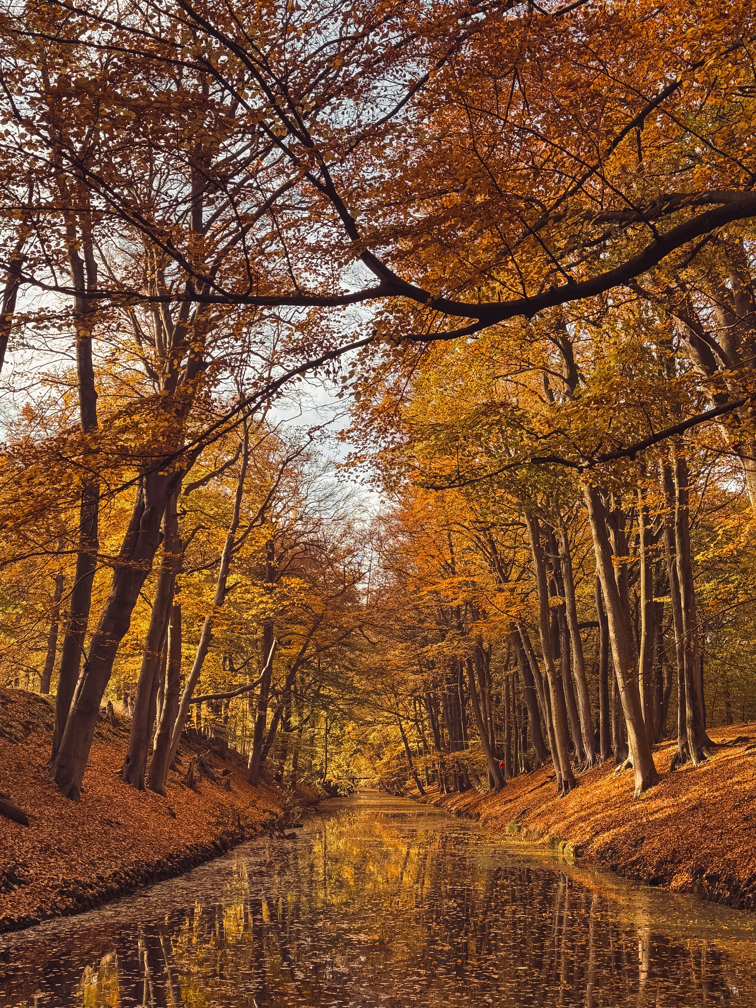 Nature takes her time