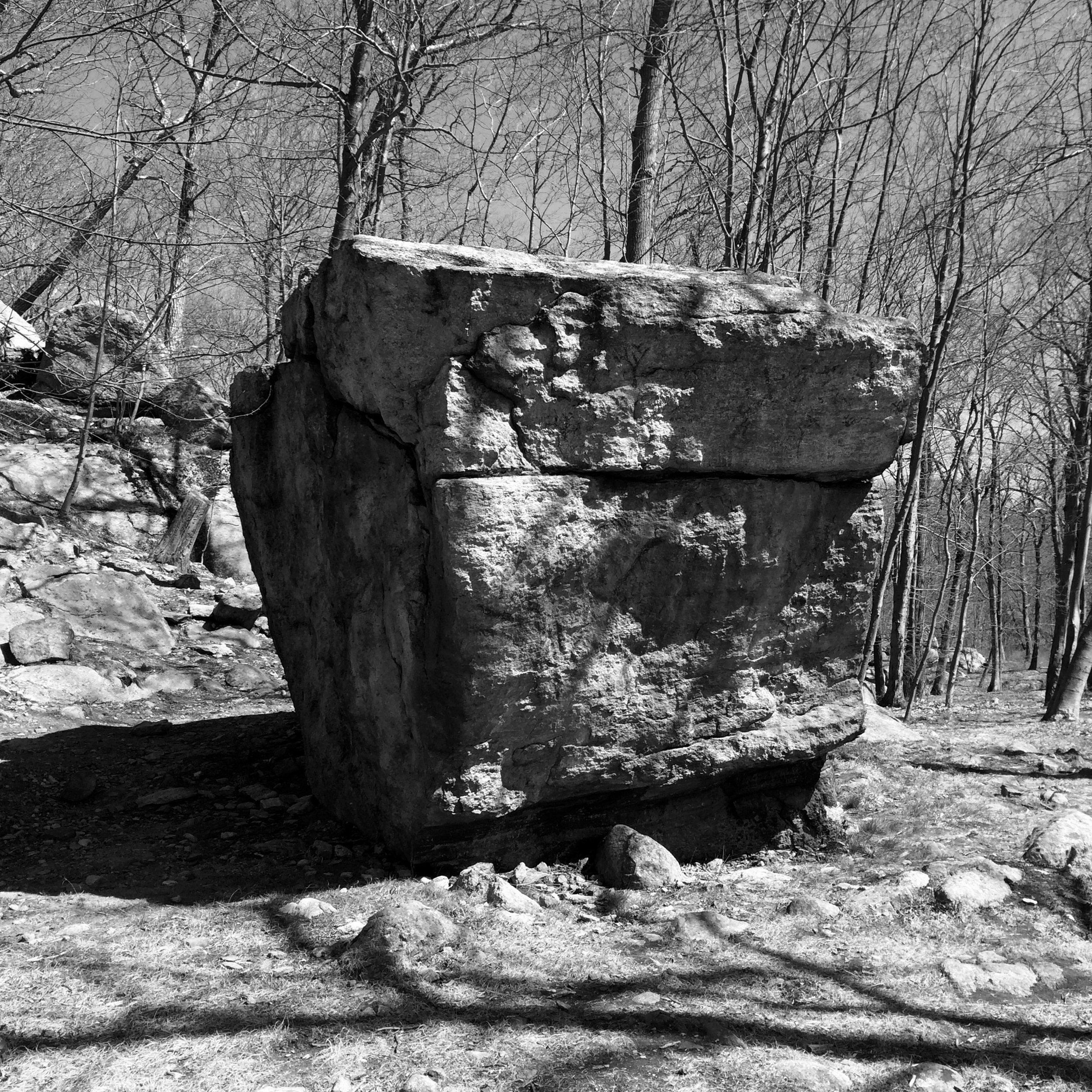 What Are All These Terms?