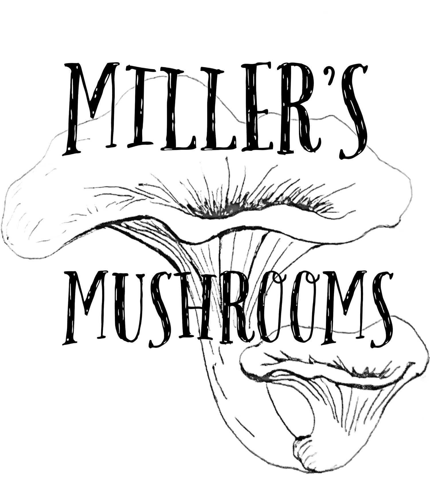 Miller&#39;s Mushrooms