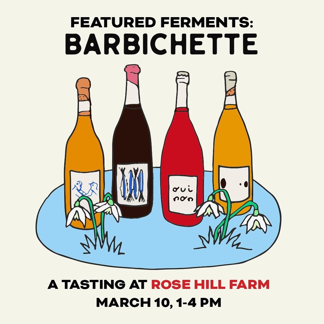 This Sunday, March 10, from 1-4 pm, our friends from @barbichettewines will be at the taproom for a Featured Ferments tasting. They&rsquo;ll be pouring some of their staples&mdash;Le Blanc, Nuit Blanche, and T&ecirc;te B&ecirc;che&mdash;and their lat