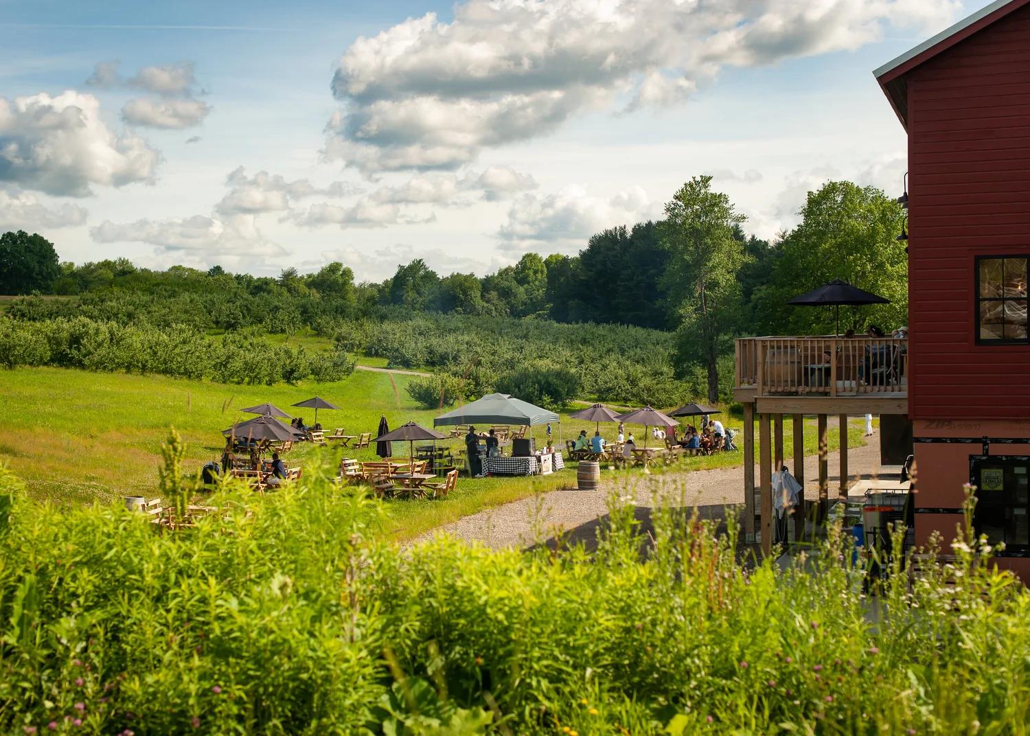 Contact 2 — to Rose Hill Farm Ferments