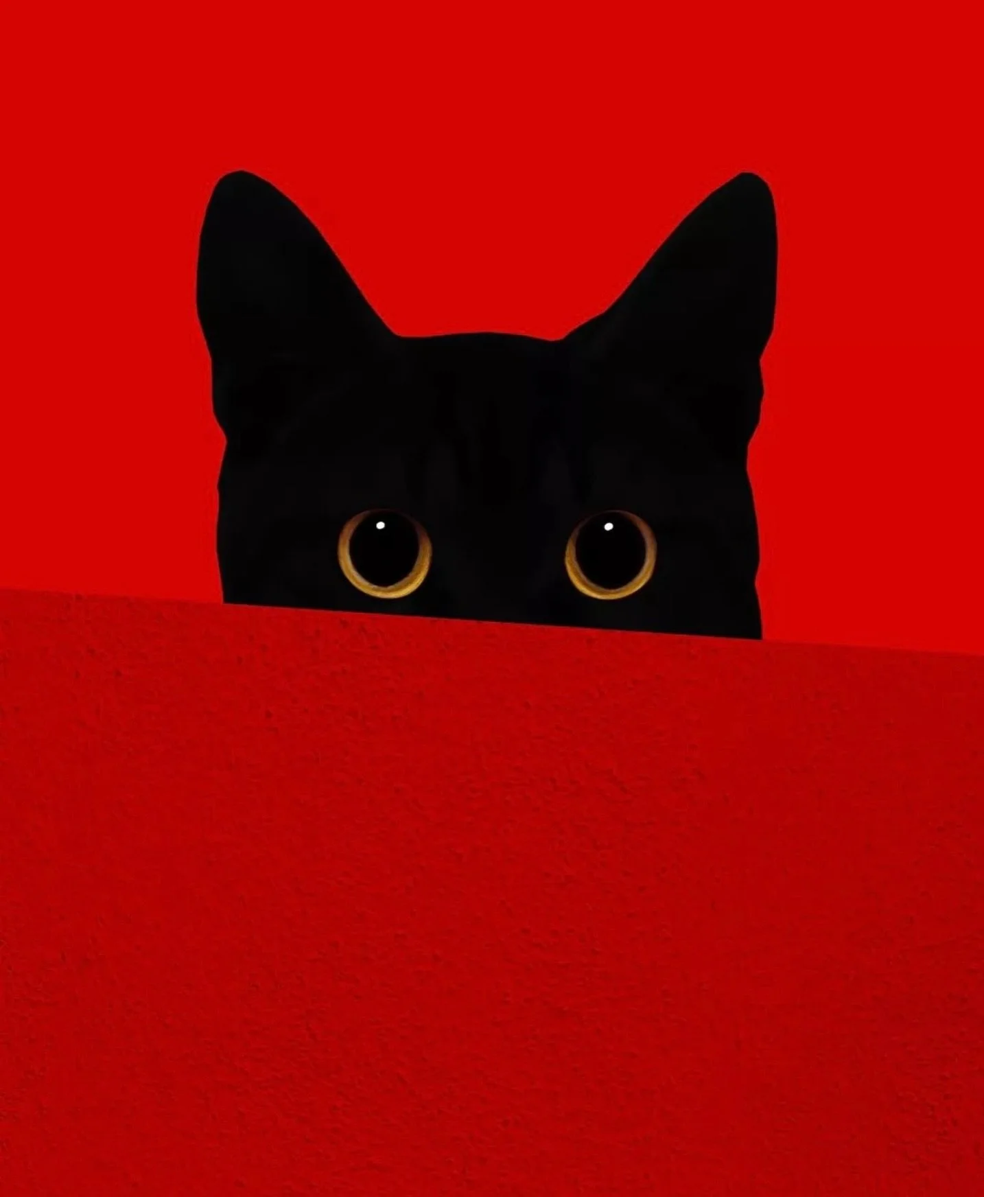 Black Cats forever 🐈&zwj;⬛🐈&zwj;⬛🐈&zwj;⬛. #blackcats #blackcatsofinstagram 📷 Benjamin Wolf.