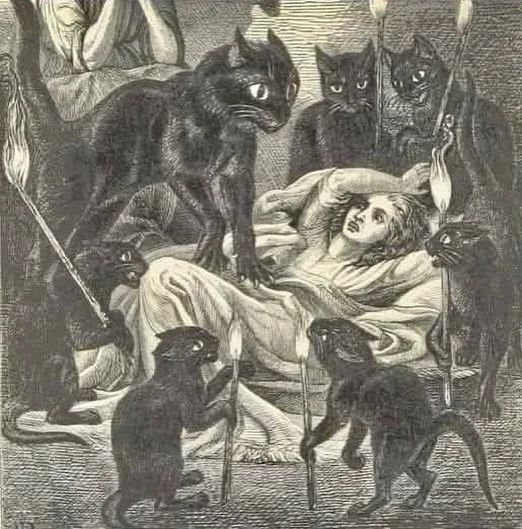 Mornings in my house.  #cats