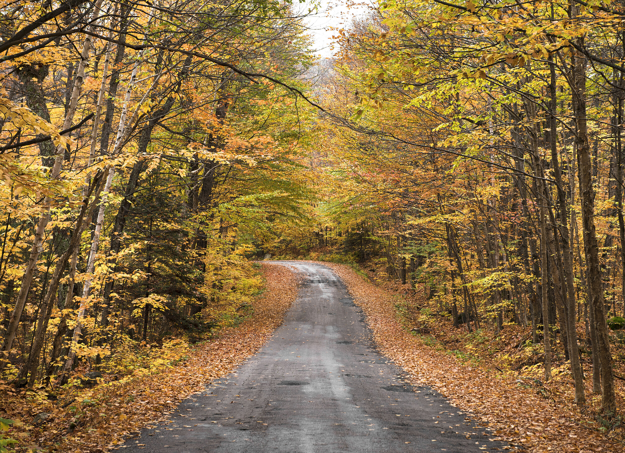 Eight Northern Ontario Provincial Parks to Visit in the Fall