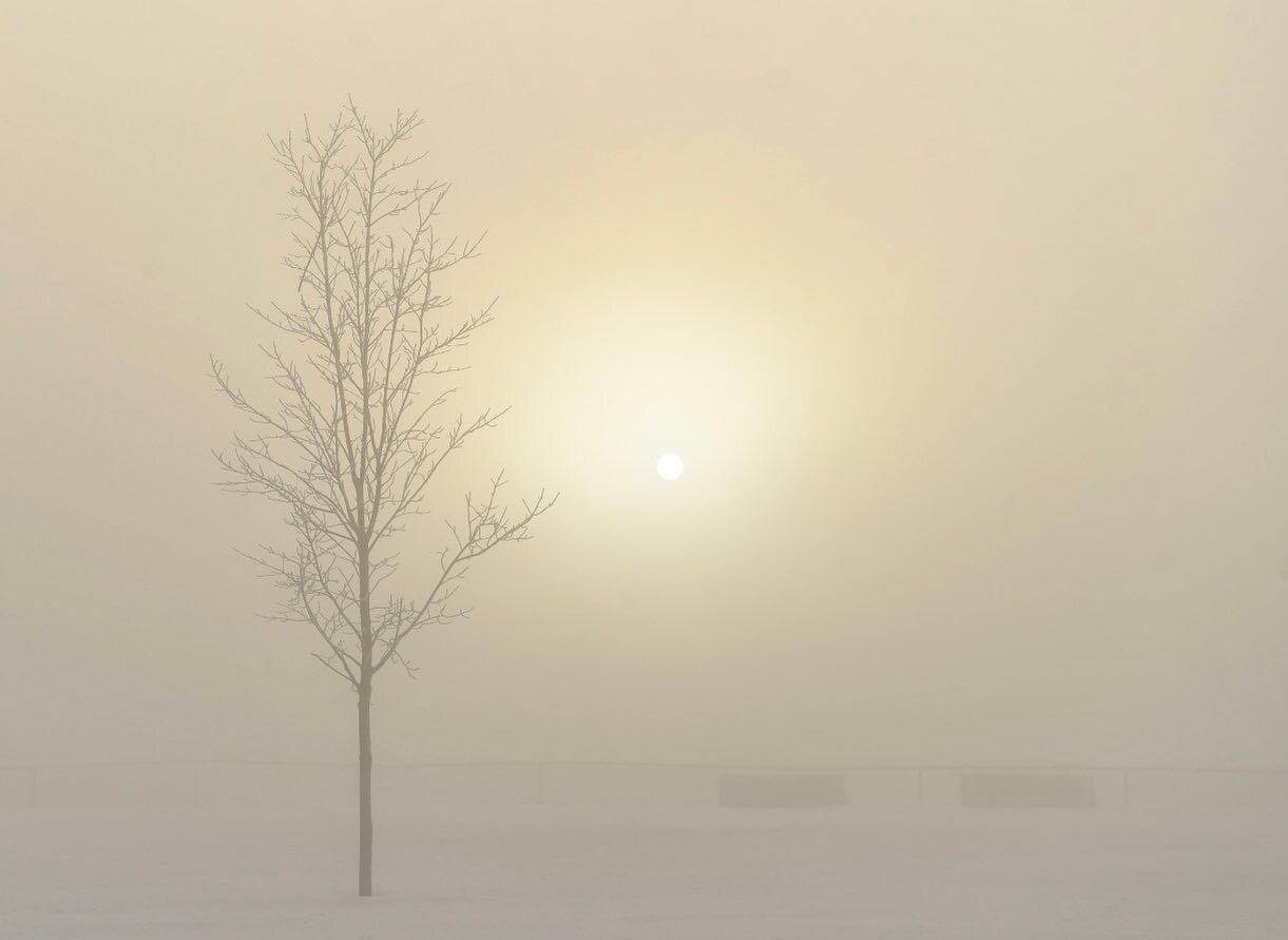 Early morning mystery at Bate Island
.
.
.

#Ottawa #DiscoverON #winter #ExploreCanada #canada #igersottawa #imagesofcanada #landscapelovers #travel #letsgosomewhere #apt613 #nikonnofilter #welivetoexplore #doyoutravel #winterwonderland #theglobewand