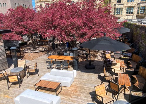 Outdoor patio cherry blossoms Tavern at the Gallery Ottawa best patios