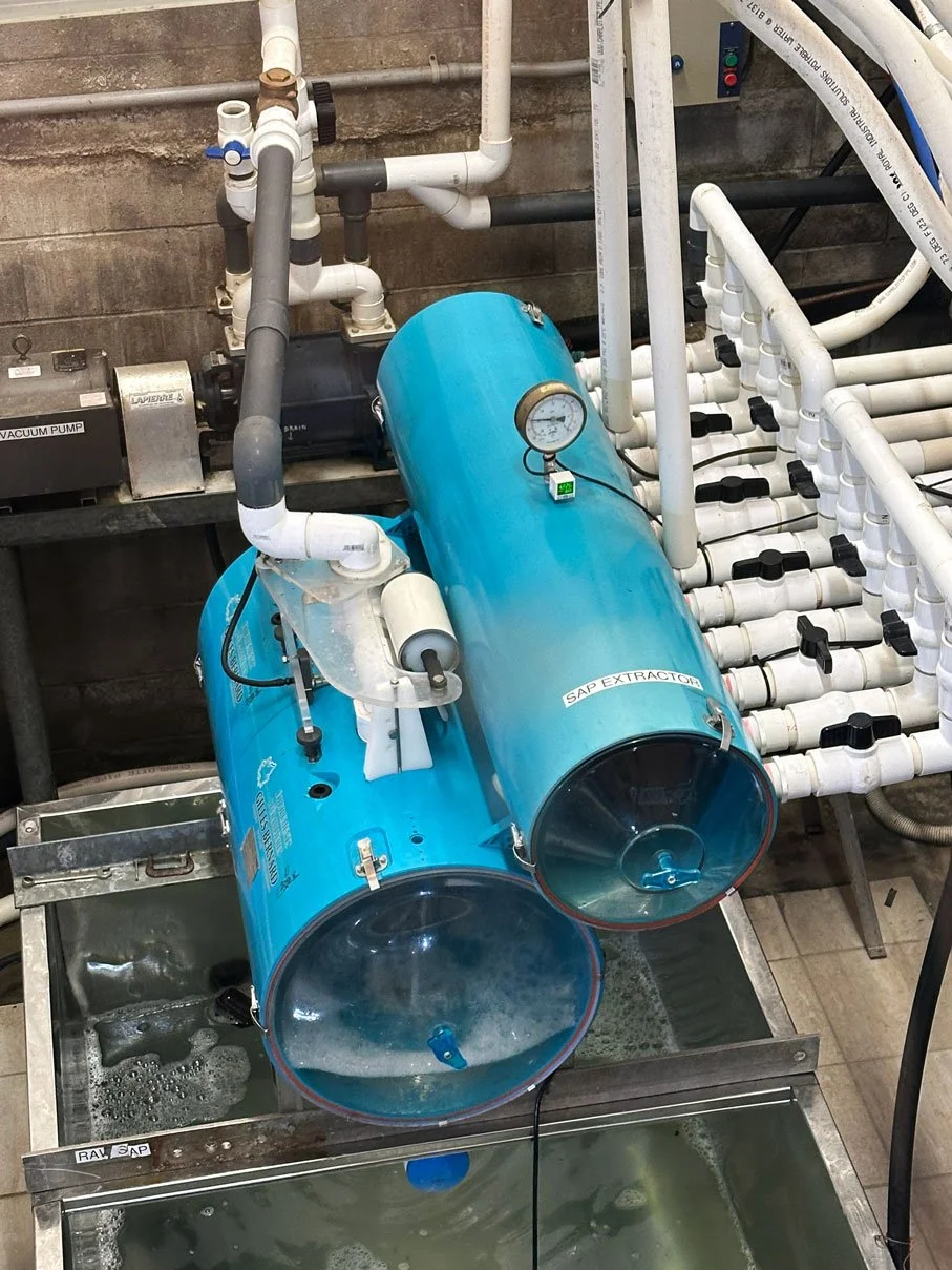 Sap extractor at Wheeler's Maple  Ottawa Sugar Shacks