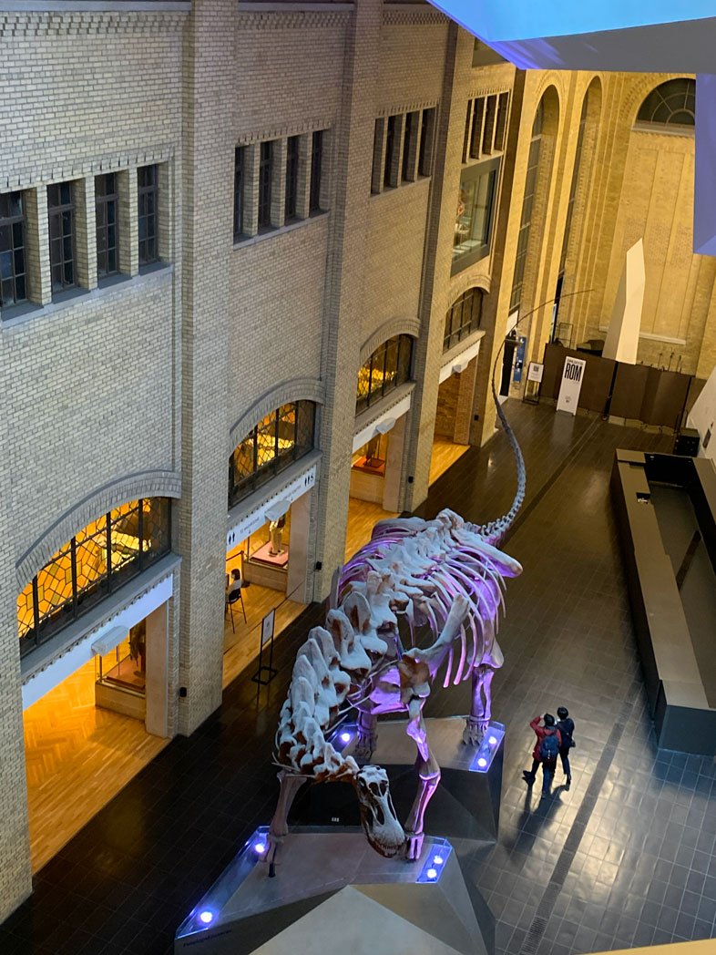 ROM free things to do in Toronto winter