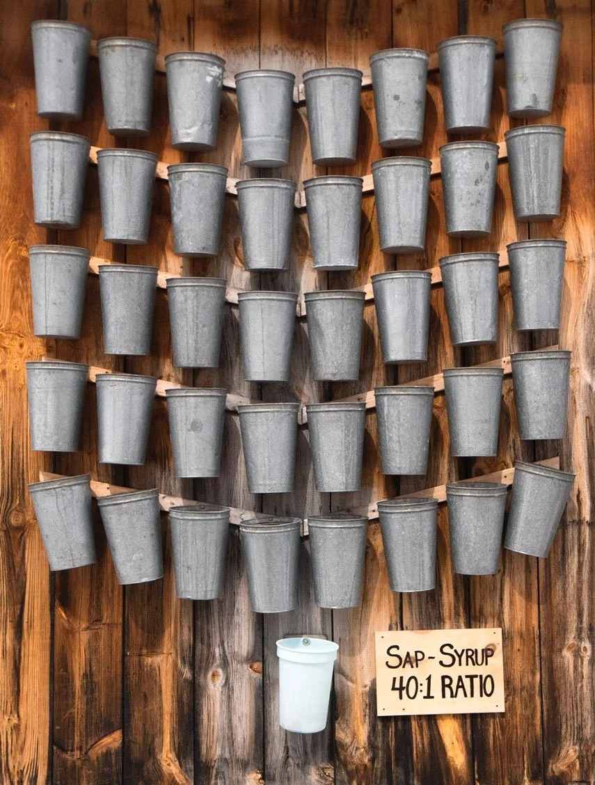 Fulton's Sugar Bush March Break Ottawa