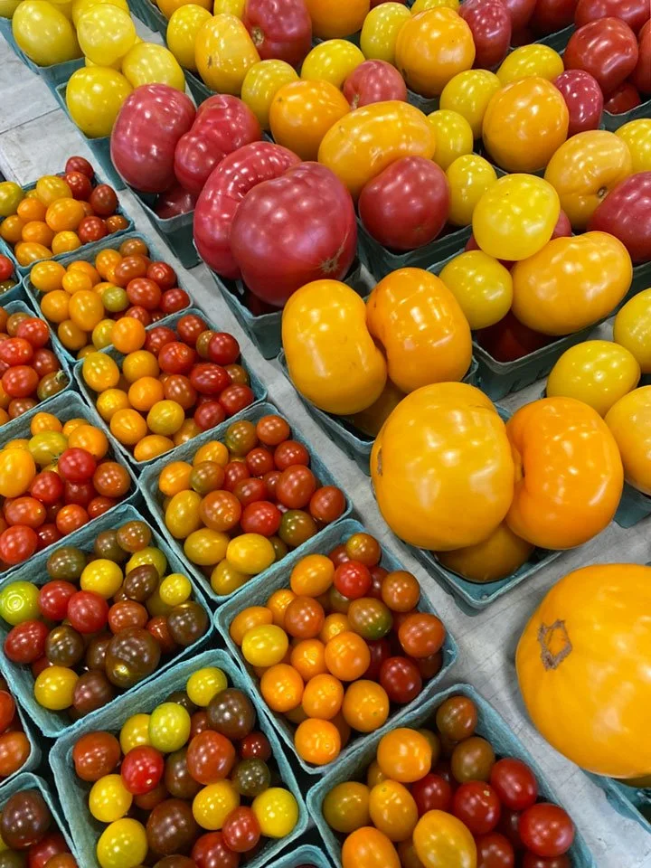 Ottawa Lansdowne farmers market