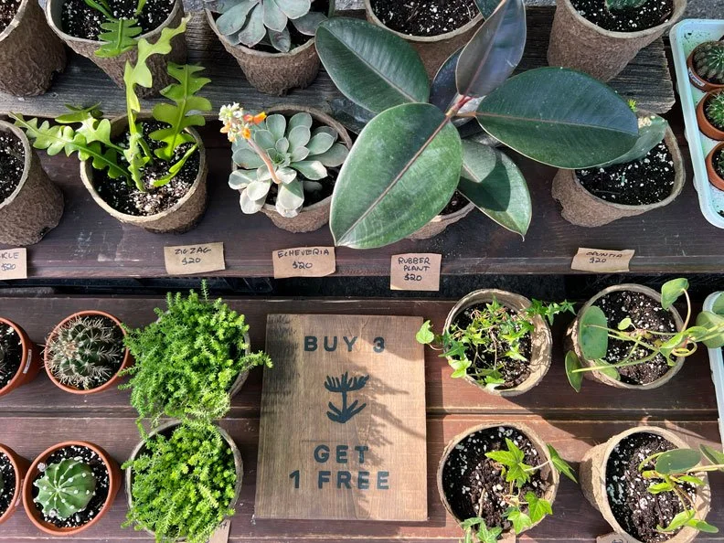 Parkdale Public Market Ottawa farmers markets