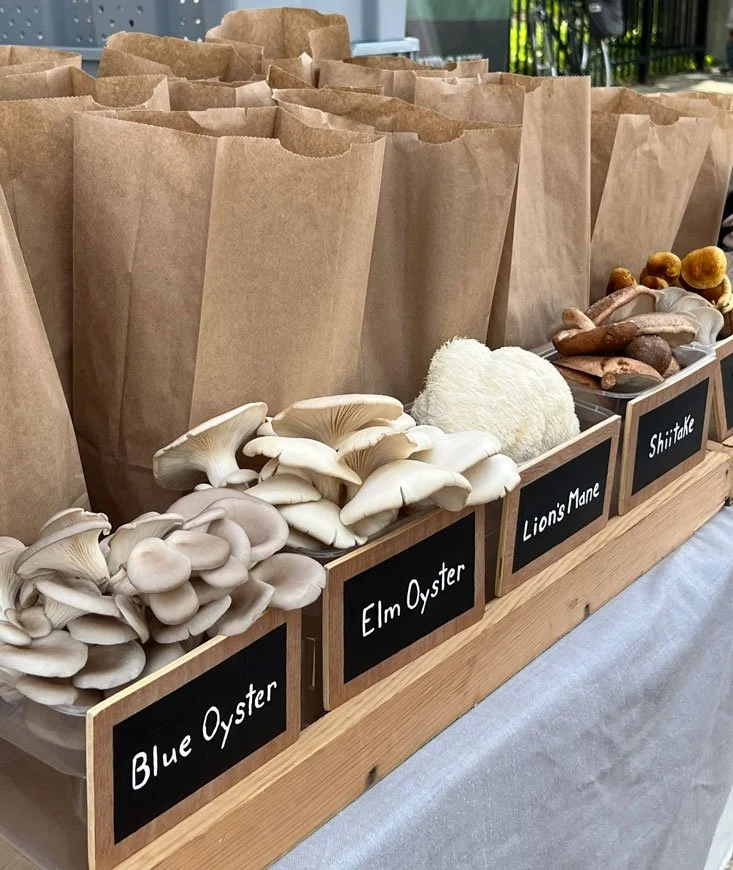 Parkdale Public Market Ottawa farmers markets