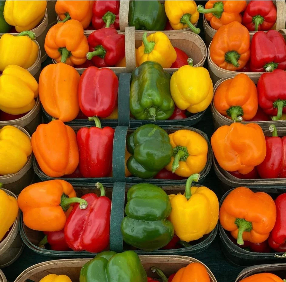 Parkdale Public Market Ottawa farmers markets