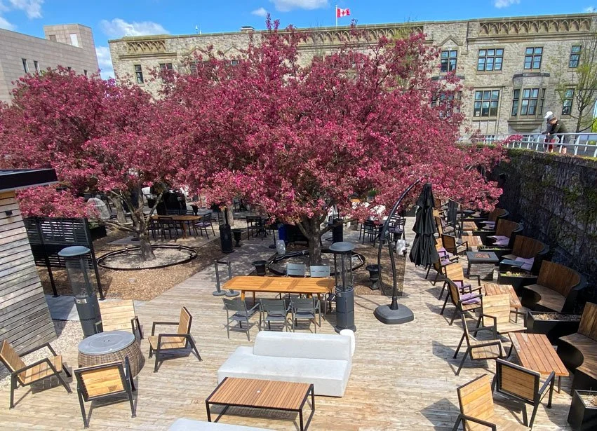 Tavern at the gallery Ottawa National Gallery of Canada