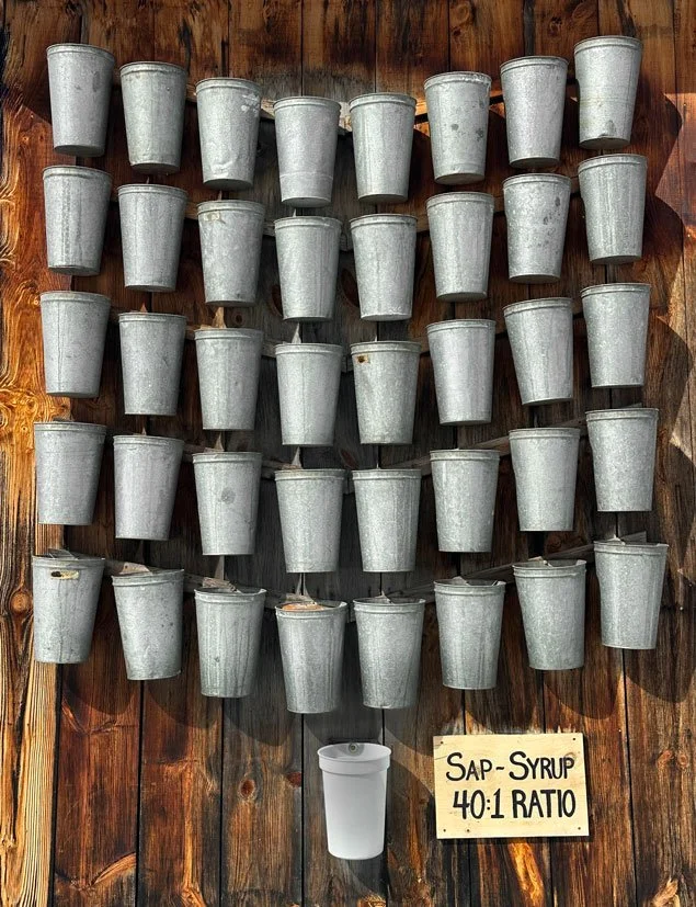 Fulton's Sugar Bush Lanark County Ontario maple syrup farm