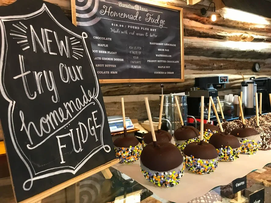 Saunders Farm ottawa family activities kids