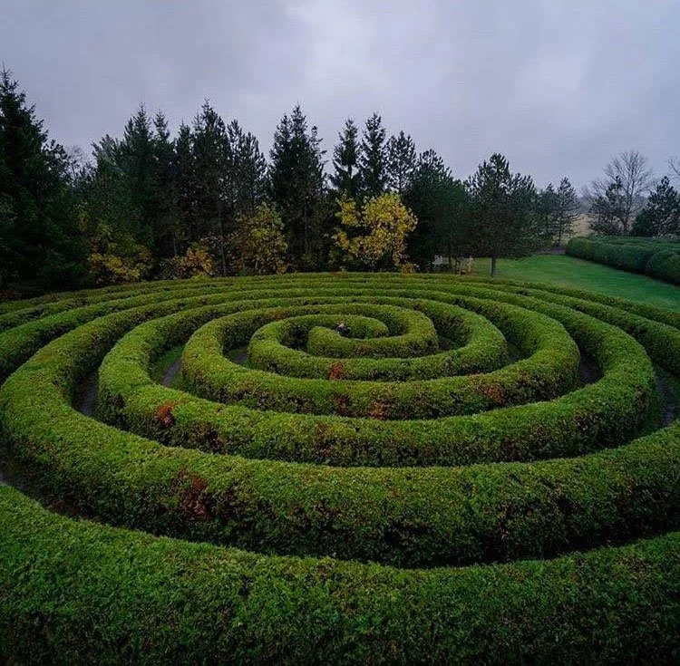 Saunders Farm hedge maze ottawa family activities kids