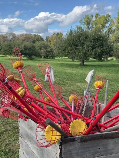 Pinewood Orchards Ottawa