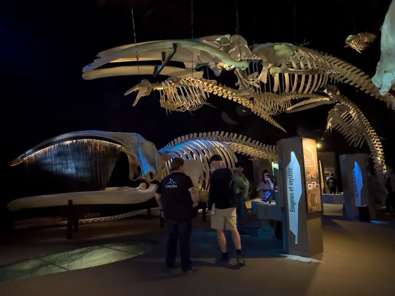 Marine Mammal Interpretation Centre Tadoussac Quebec
