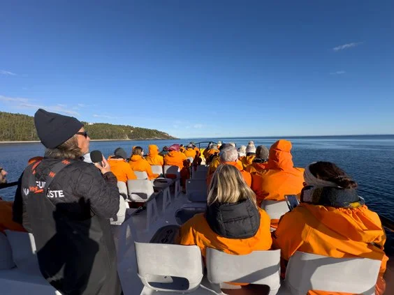 Whale watching boat tour Tadoussac Quebec
