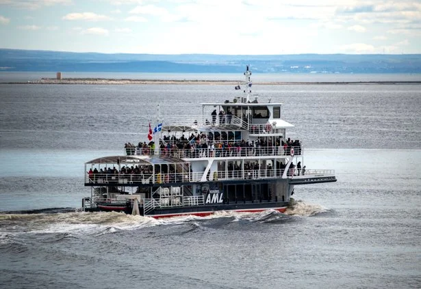 Whale watching boat tour Tadoussac Quebec