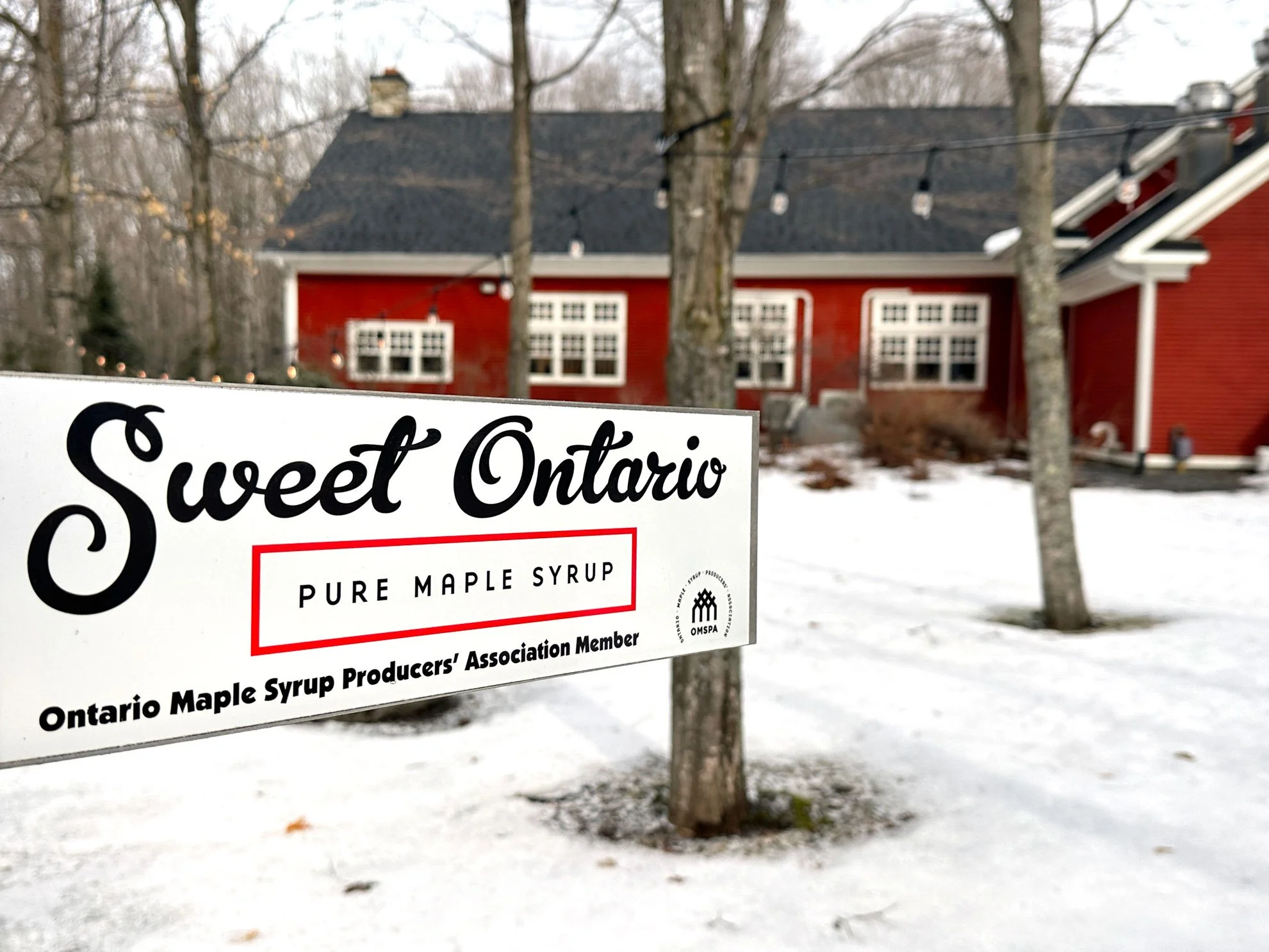 red building surrounded by snow with maple ontario maple syrup sign in front Temples sugar bush Lanark County Ontario