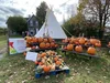 The Best Ways to Experience Indigenous Culture in Ottawa — Project ...