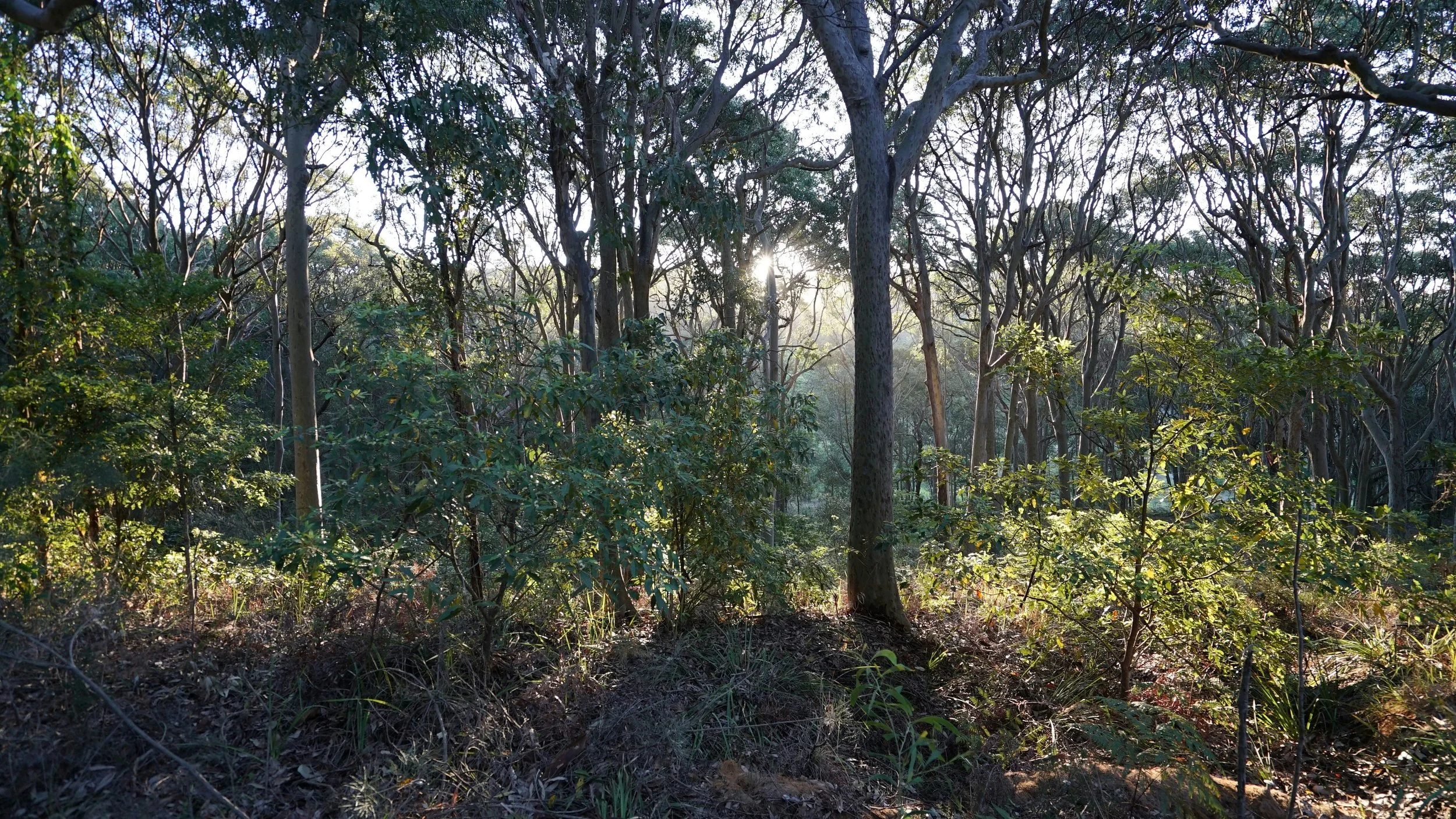 The world is a hungry thing